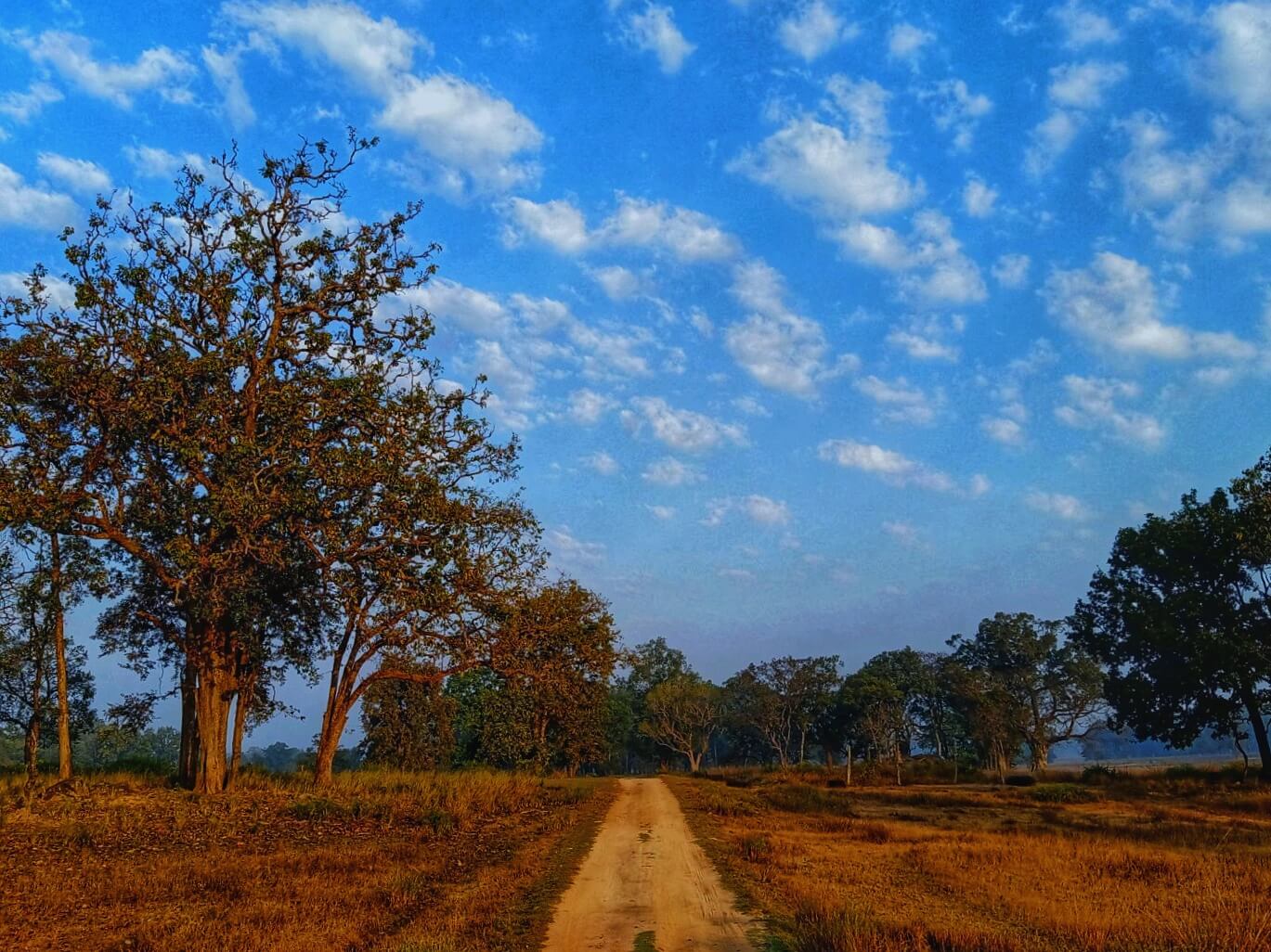 12 Things You Must Know Before Visiting Kanha National Park