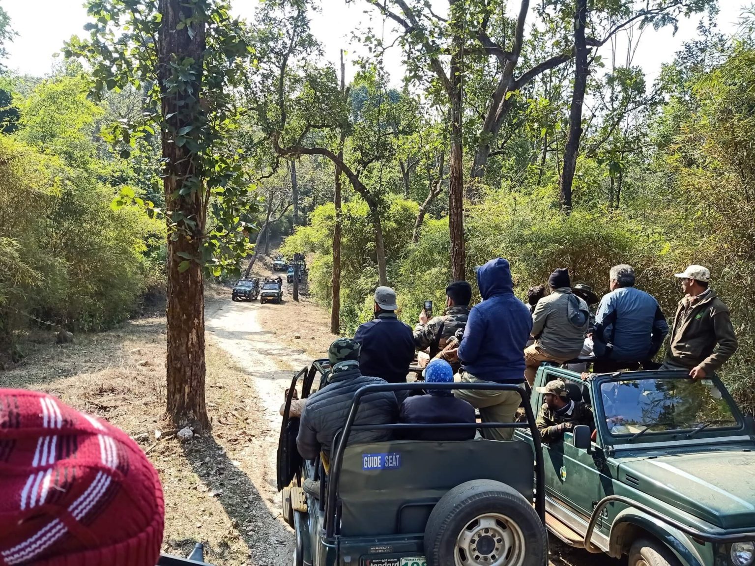 12 Things You Must Know Before Visiting Kanha National Park